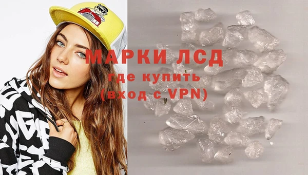 spice Аша