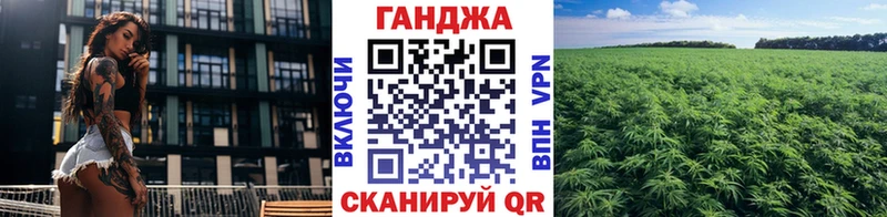 маркетплейс официальный сайт  Ессентукская  Конопля OG Kush  сколько стоит 