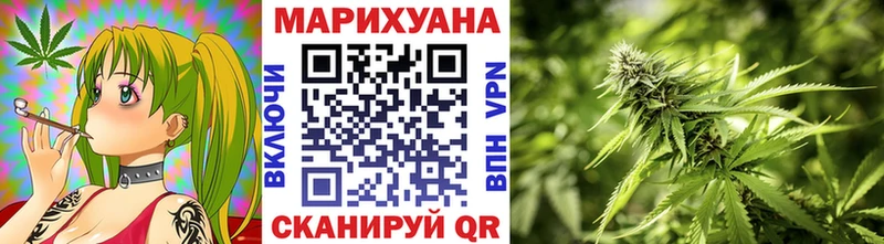 Конопля семена Ессентукская